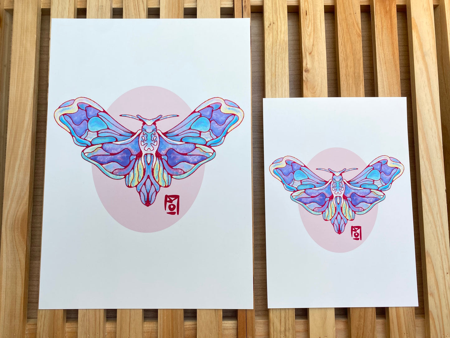Le Papillon De Nuit