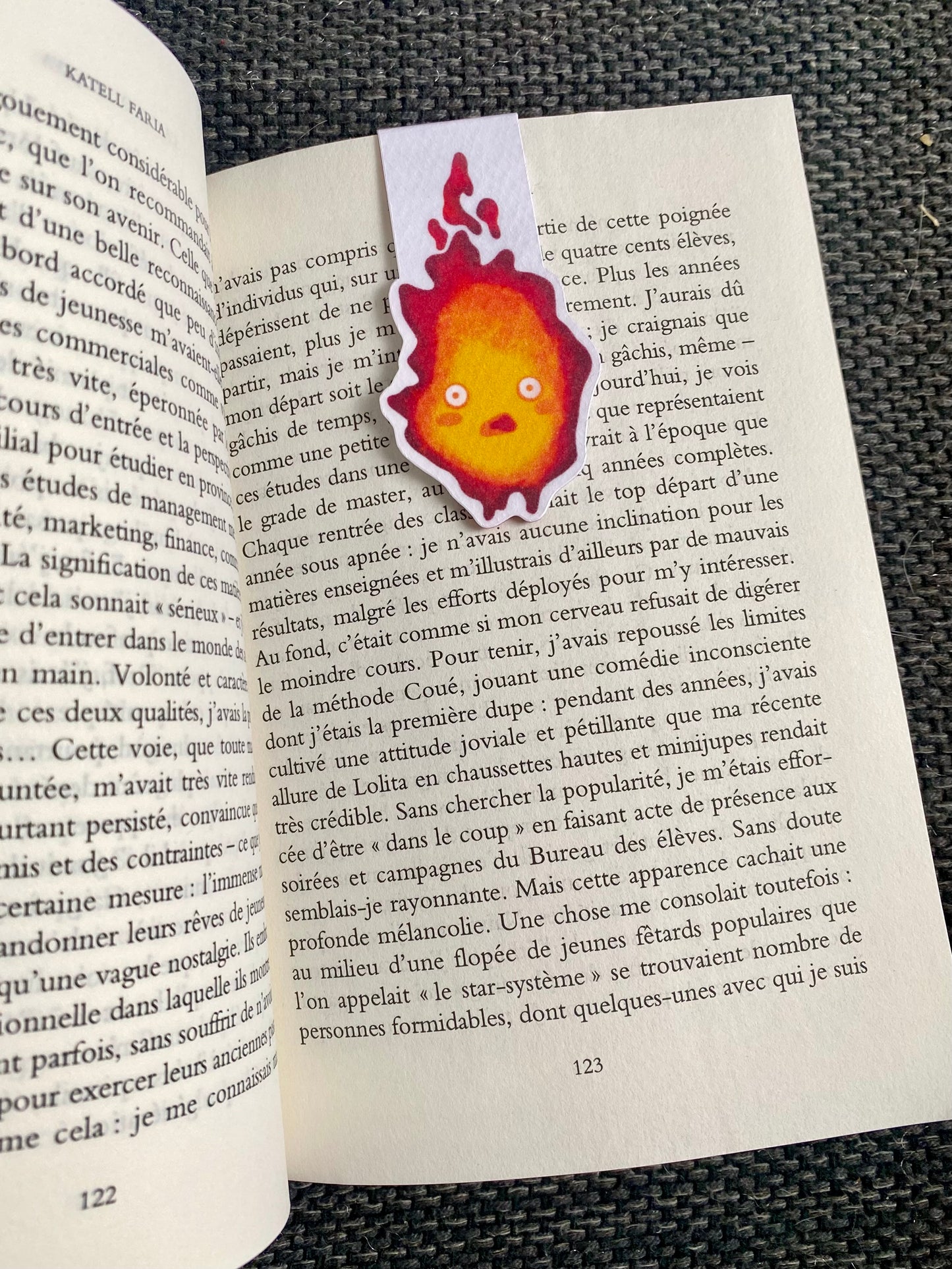 Le Feu
